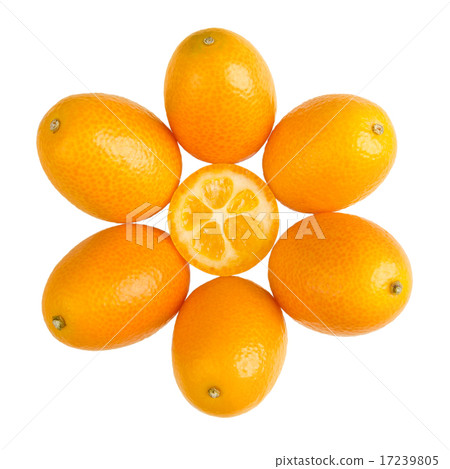 Oval Kumquats Forming A Sun Symbol On White Backgr Oval Kumquats Forming A Sun Symbol On White Backgr 17239805