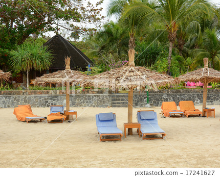 Umbrellas and beach chairs on the beach 17241627