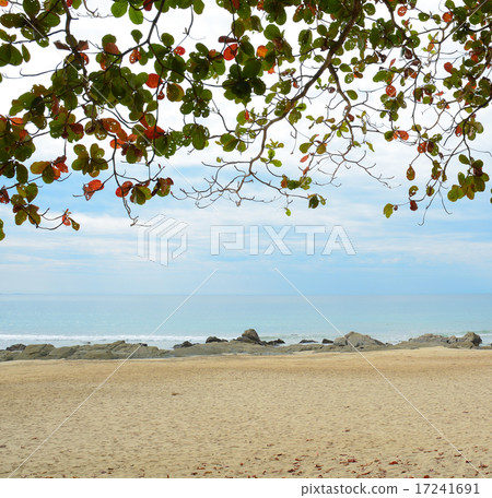 Beautiful beach in Ngapali, Myanmar 17241691