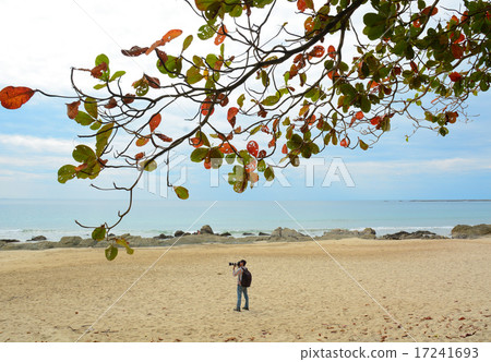 Beautiful beach in Ngapali, Myanmar 17241693
