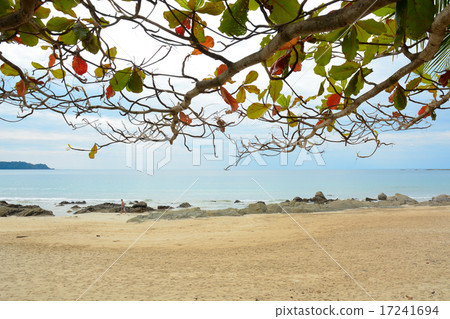 Beautiful beach in Ngapali, Myanmar 17241694