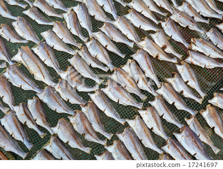 Dried fishes in Mekong Delta, Vietnam Dried fishes in Mekong Delta, Vietnam 17241697