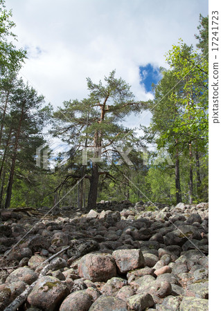 Skuleskogen National Park, Hoega Kusten, Sweden 17241723