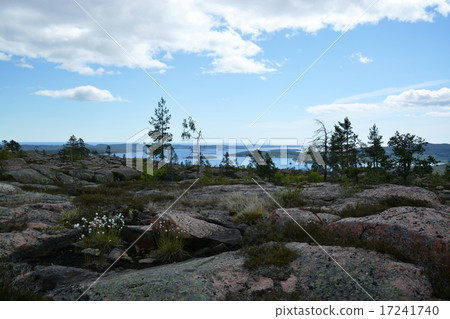 Skuleskogen National Park, Hoega Kusten, Sweden 17241740