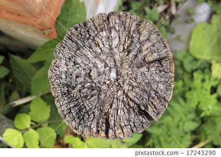 Stump sectional 17243290
