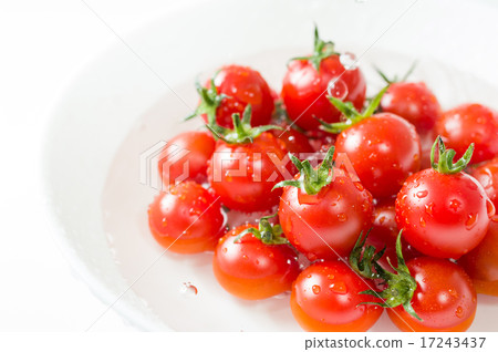 Fresh mini tomatoes to wash with a white vessel and water falling down Fresh mini tomatoes to wash with a white vessel and water falling down 17243437