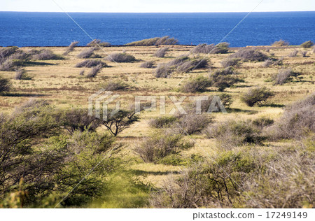 South Point, Hawaii island -5 17249149