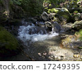 Mountain stream 17249395