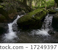 Falling Water 17249397