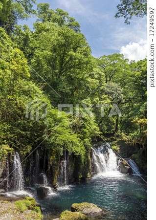 Tengu Falls in the Kikuchi Valley and the Forest of the New Green Tengu Falls in the Kikuchi Valley and the Forest of the New Green 17249597