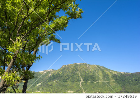 Fresh green of Iida Kogen and mountain spring 17249619