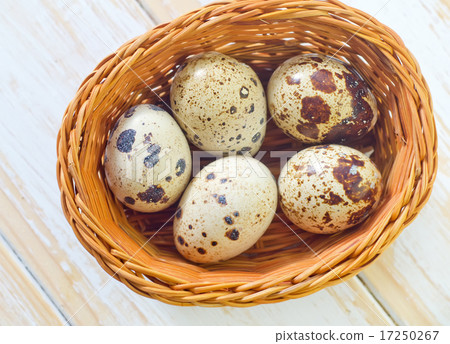 quail eggs 17250267