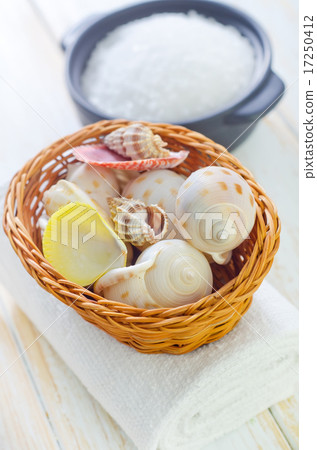 shells shells 17250412
