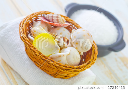 shells 17250413