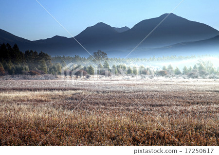 Odashi Mire的秋葉 Odashi Mire的秋葉 17250617