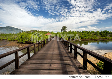 Indonesian landscape with mangrove and walkway Indonesian landscape with mangrove and walkway 17251946