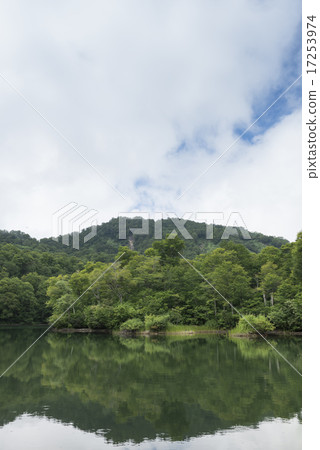 Kamoi pond 17253974
