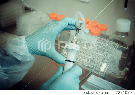 Laboratory technician working multiwell pipette Laboratory technician working multiwell pipette 17255050