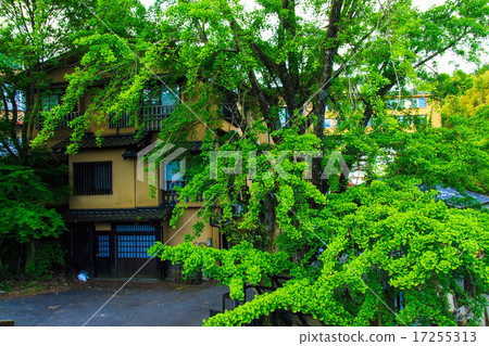 清晨肌肉溫泉 17255313