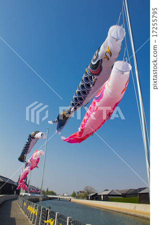鯉魚流焊道 鯉魚流焊道 17255795
