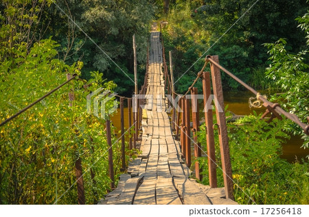 The hanging bridge  17256418