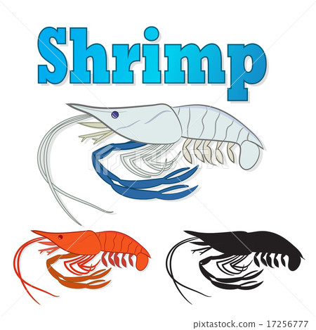 插图素材: vector fresh river prawn,cooked sea shrimp