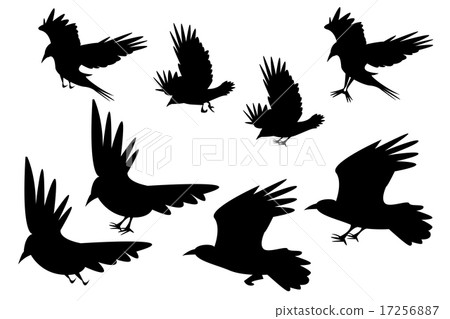 Set of silhouette flying raven bird with leg Set of silhouette flying raven bird with leg 17256887