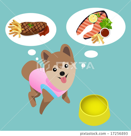 Pomeranian dog with empty bowl want to eat steak. 17256893