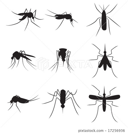 Set of black silhouette carrier mosquitoes Set of black silhouette carrier mosquitoes 17256936