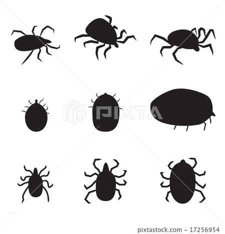 Set of black silhouette dog tick icon Set of black silhouette dog tick icon 17256954