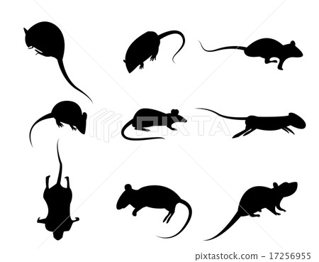 Set of black silhouette rat icon, isolated vector Set of black silhouette rat icon, isolated vector 17256955