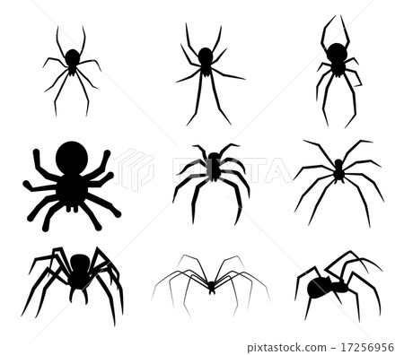 black silhouette spider icon isolated on white black silhouette spider icon isolated on white 17256956