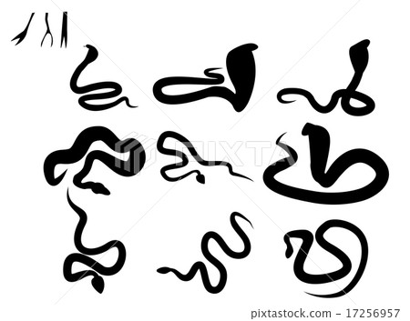 Set of black silhouette snake and snake tongue 17256957