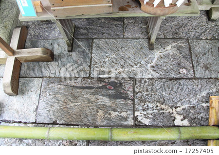 三嫩神社龍 17257405