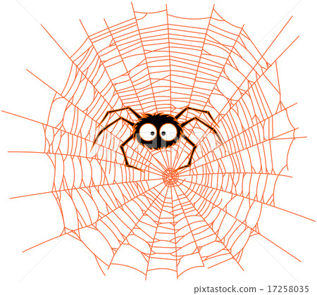 Spider 17258035