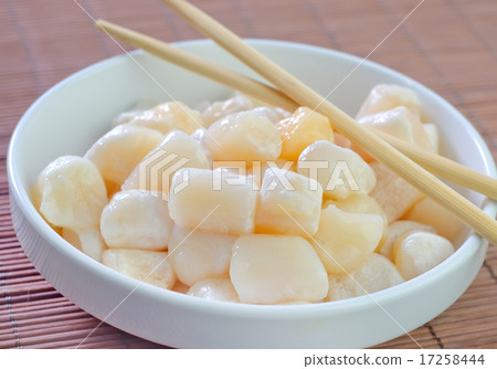 scallop scallop 17258444