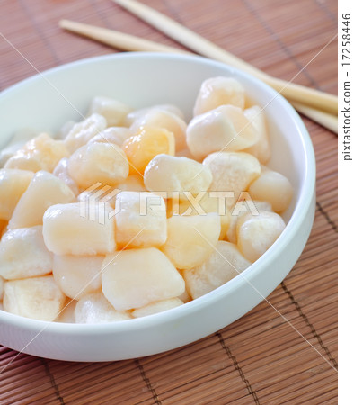 scallop 17258446