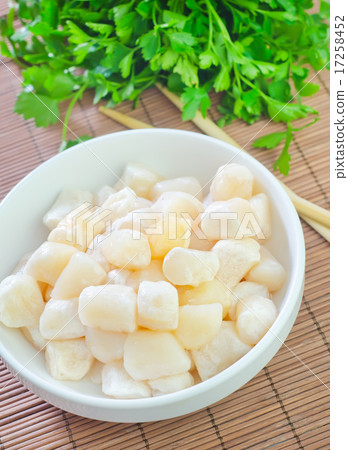 scallop scallop 17258452