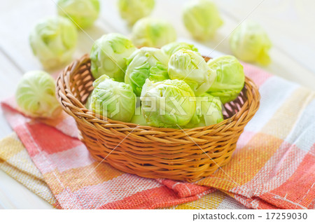 brussel cabbage 17259030
