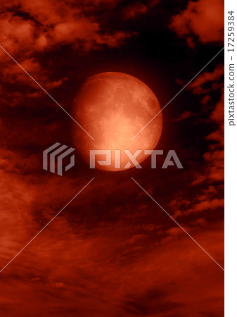 The moon in the night The moon in the night 17259384