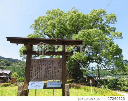 Ogasu of Kawabo (Takeo City) 17260623
