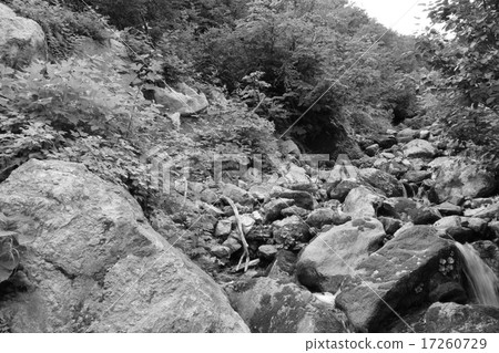 Rocky field _ 4 17260729