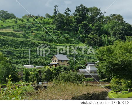 Satoyama which still remains in Leshan garden of Gumma 17261010