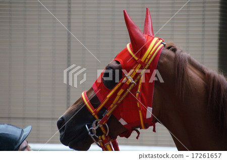 馬的臉 馬的臉 17261657