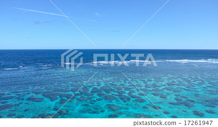 Miyakojima熱帶綠色珊瑚礁海 17261947