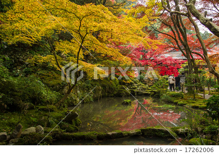 Kimpo Wing Temple Autumn leaves garden Kimpo Wing Temple Autumn leaves garden 17262006