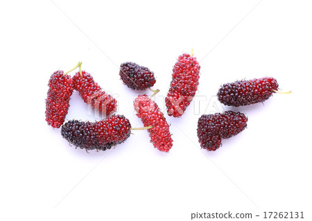 mulberry fruit 17262131