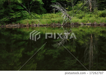 Shiga Takahara Nagaike 17262787
