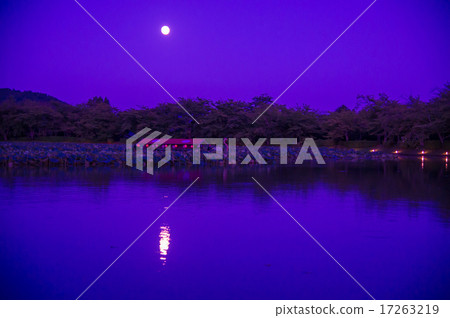 Kyoto Noidodera temple evening 17263219