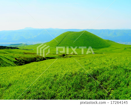 米塚 米塚 17264145